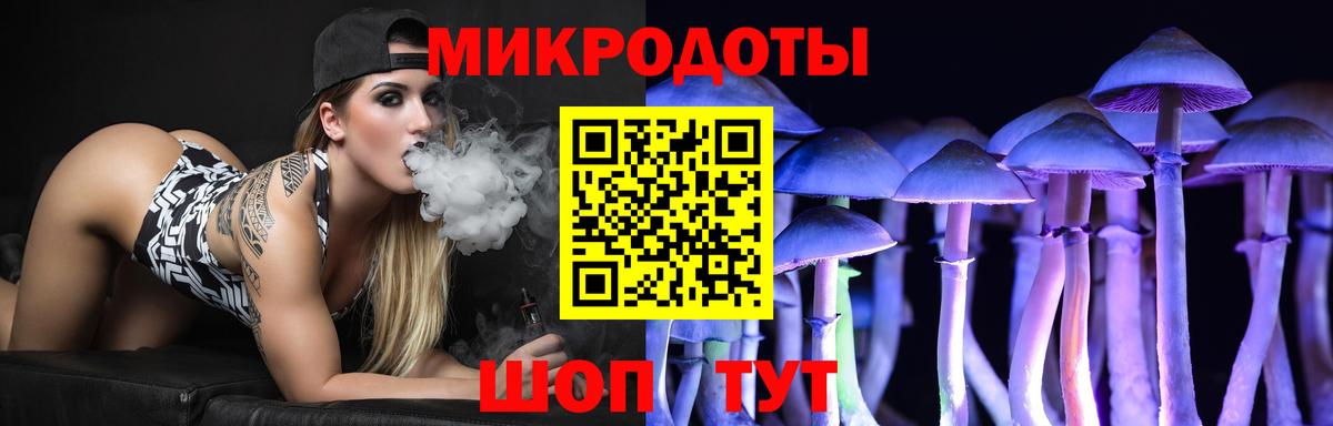 Псилоцибиновые грибы Cubensis Котлас